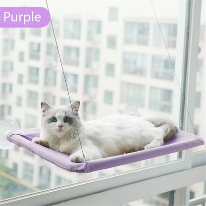 PurrView Lounge